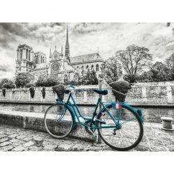 puzzle Bicicleta cerca de Notre Dame